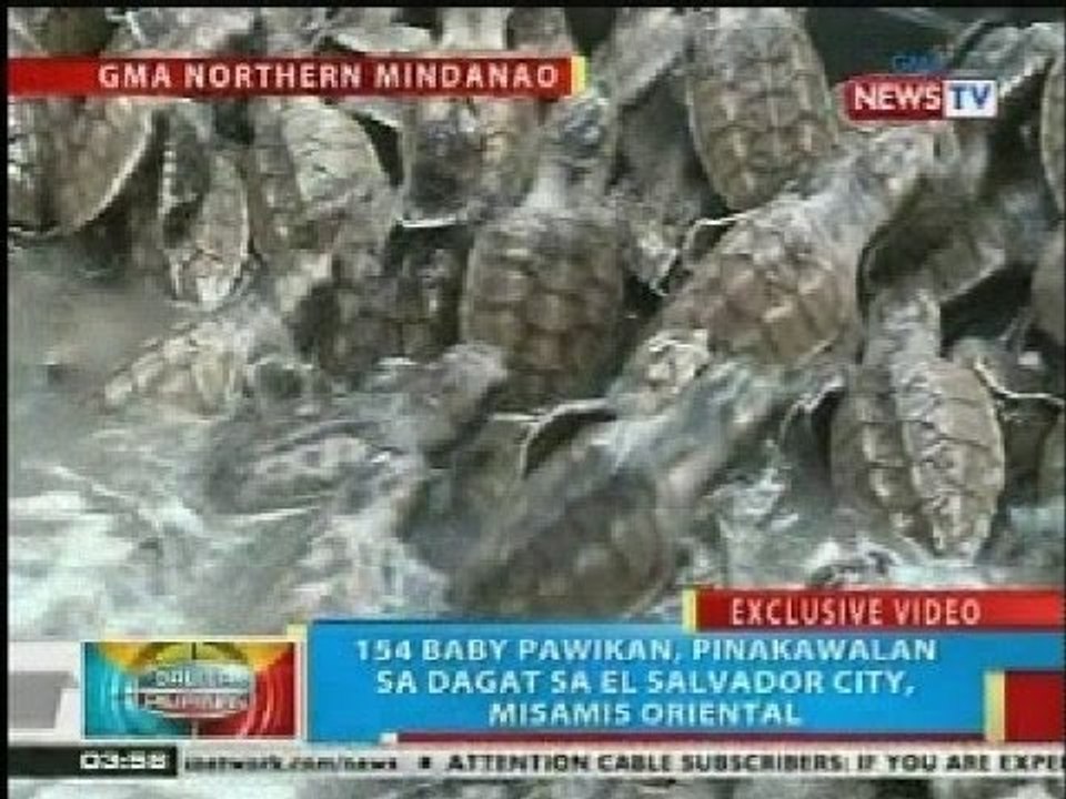 BP: 154 baby pawikan, pinakawalan sa dagat sa El Salvador City, Misamis Oriental