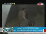 BP:  Ginang sa Bohol, ginahasa umano ng kanyang sariling anak; suspek, huli