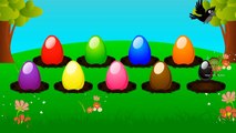 Surprise colors eggs | Learn Colors for Children | Colors Names for Kids