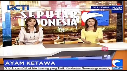 Puluhan Penggemar Ayam Ketawa Gelar Latihan Bersama