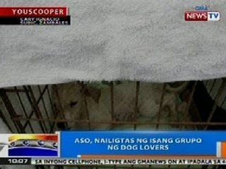 Tải video: NTG: Aso sa Subic, Zambales, nailigtas ng isang grupo ng dog lovers