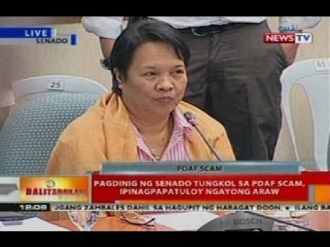 Pagdinig ng Senado kaugnay ng pork barrel scam (Sept. 26, 2013 - Part 2)
