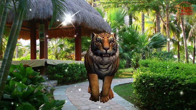 Tiger And Lion Finger Family | Finger Family Song | 3D Animation Nuresry Rhymes