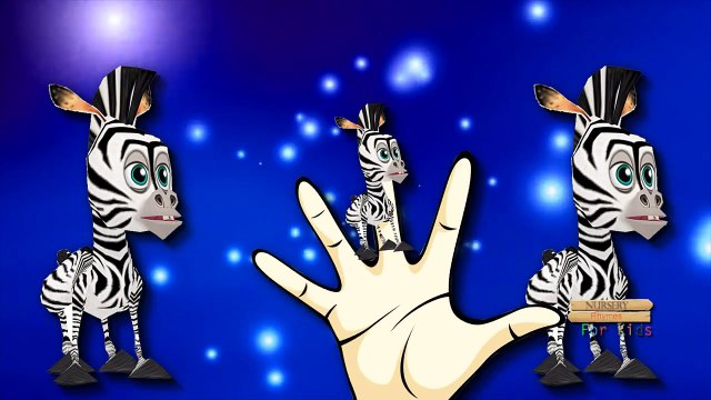 Zebra Cartoons Finger Family Rhymes For Children | Zebra Finger Family Children Nursery Rhymes