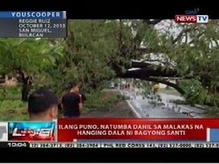 NTL: Ilang puno sa Bulacan, natumba dahil sa malakas na hanging dala ni Bagyong Santi