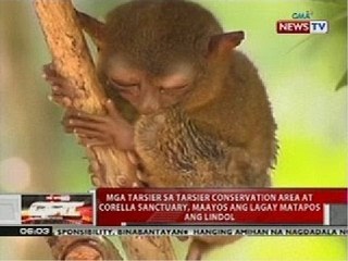QRT: DOT, tinututukan ang rehabilitasyon ng mga tourist attraction na napinsala ng lindol