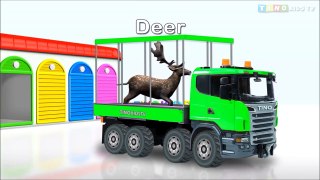 Learn Colors with Animal Transporter for Kids   Learn Animals for Children