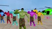 All Colorful Hulk Hokey Pokey Song || Hulk Wonderful Dancing || Rhymes For Children