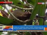 NTG: Corella Tarsier Sanctuary, binuksan na halos ilang linggo matapos ang lindol