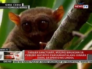 QRT: Tarsier Sanctuary sa Bohol, binuksan sa publiko nang isinara dahil sa epekto ng lindol