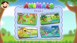 Animals Puzzle Kids & Babies Learn Animals Names, Forest, Grassland, Farm & Ocean By 2 Baby ► KVG
