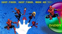 SpiderMan Finger Family Song [Nursery Rhyme] Finger Family Fun | Toy PARODY