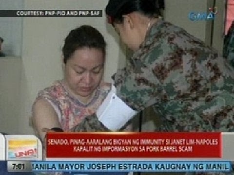 UB: Senado, pinag-aaralang bigyan ng immunity si Napoles kapalit ng impormasyon sa pork barrel scam