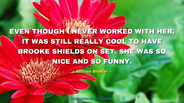 Atticus Shaffer Quotes