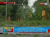 BP: Mga bahay at gusali sa Ilocos Norte, nawasak dahil sa Bagyong Vinta