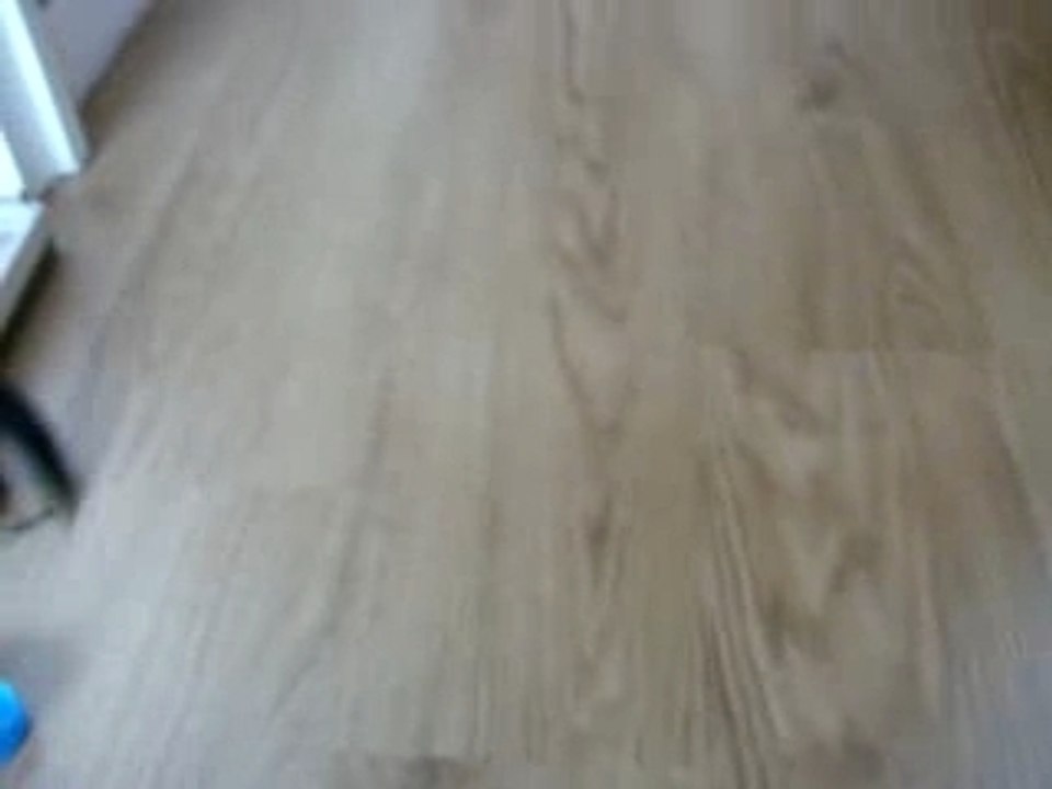 Ma nouvelle peluche!