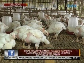 Local poultry farmers, nalulugi raw dahil sa mababang presyo ng manok ng isang banyagang kumpanya