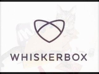 Best Cat Subscription Box - www.thewhiskerbox.com