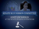 Livestream: Napoles at Senate pork scam hearing (Nov. 7, 2013)