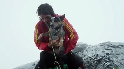 Flying with Dog