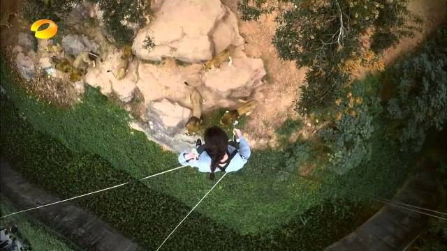 《新闻当事人》新闻当事人20150322期：胡杏儿倪妮萌宠炼爱记 People IN News: Myolie Wu and Nini in Wonderful Friends【芒果TV官方超清版】