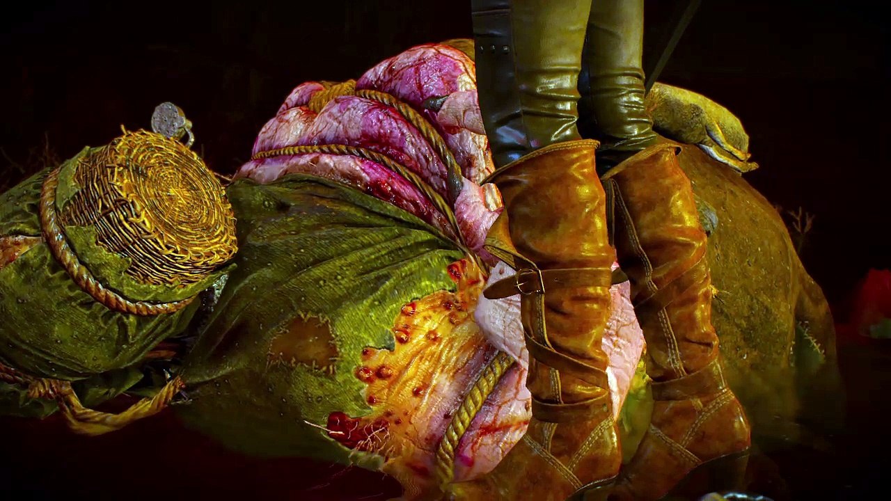 The Witcher 3: Wild Hunt – Game of the Year Edition_20170114124745