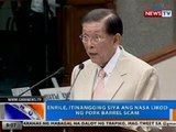 NTG: Enrile, itinangging siya ang nasa likod ng pork barrel scam