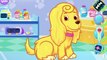 Animals Care   Play Little Pet Doctor Kids Games   Puppy's Rescue and Car   Baby Fun Gameplay
