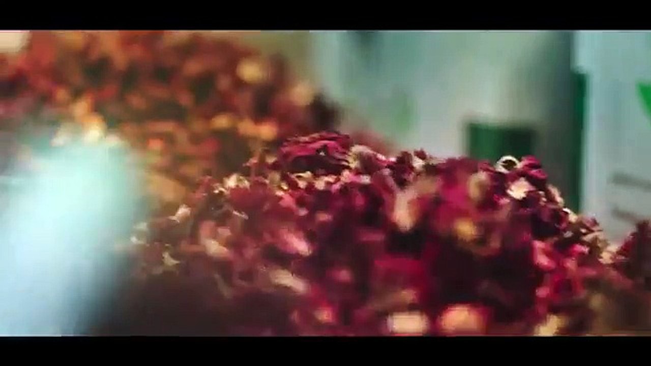 Tu Hai Sanam - RAEES Movie - Video Song - HD - Arijit Singh - 2017 -