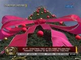 24 Oras: 45-ft. Christmas tree at iba pang palamuting pam-Pasko, tampok sa munisipyo ng Cabuyao