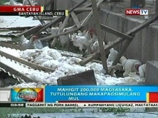 BP: Halaga ng napinsala ng bagyo sa agrikultura at kabuhayan sa Cebu, mahigit P1-B