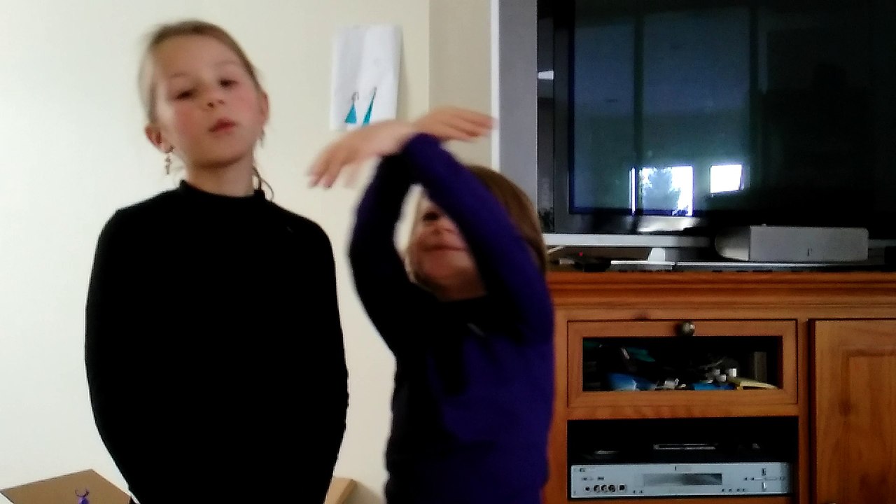 VID_20170114_134417