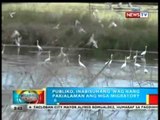 BP: Publiko, inabisuhang 'wag nang pakialaman ang migratory bird para makaiwas sa bird flu