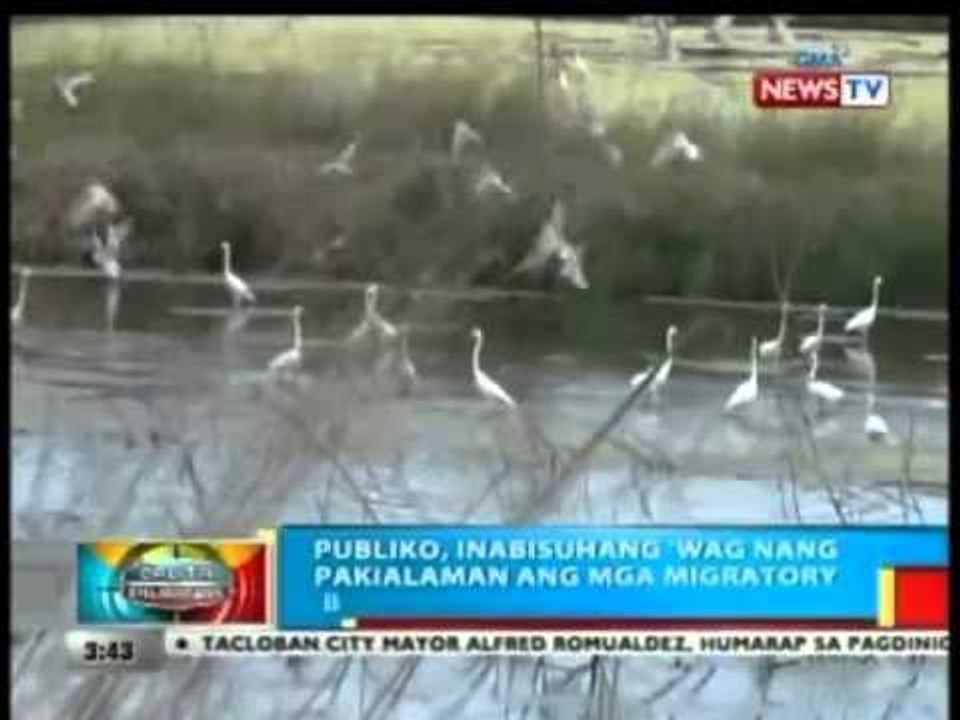 BP: Publiko, inabisuhang 'wag nang pakialaman ang migratory bird para makaiwas sa bird flu