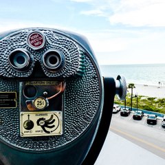 Hurricanes and Sea Turtles