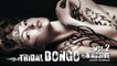 Various Artists - Best Dance Music Mix - Tribal Bongo Massive Vol. 2 - Club Music