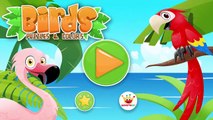 Play & Learn Birds Puzzles and Colors Games for Toddlers or Babies Educational games by Magister Ap