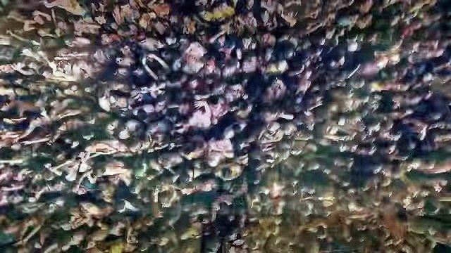 Sia & Rihanna Ft. David Guetta - Beautiful People (Music Video) - YouTube - Copy