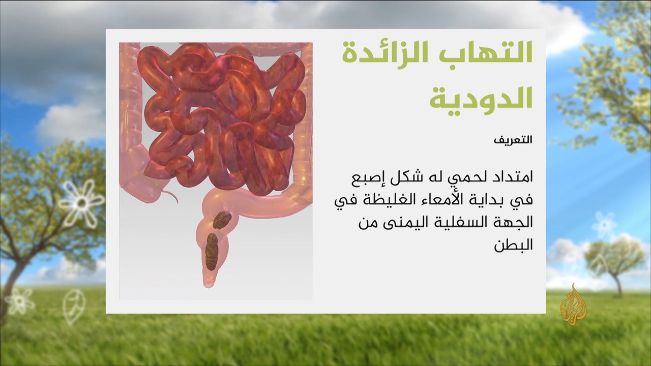 هذا الصباح-فائدة الزائدة الدودية في الجسم البشري