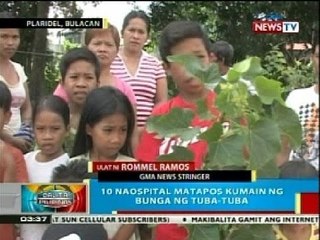 Download Video: BP: 10 naospital sa Bulacan nang kumain ng bunga ng tuba-tuba