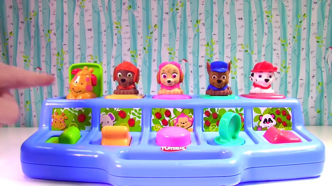 Best Learning Animal Names for Kids & Toddlers with Pop Up Paw Patrol Mashems Fashems