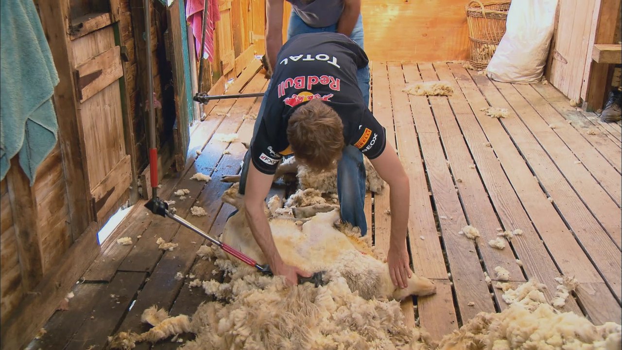 Tierische Formel 1 - Schluss mit dem Winterschlaf!