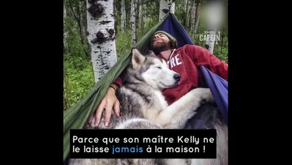 Ce maître emmène toujours son chien en voyage