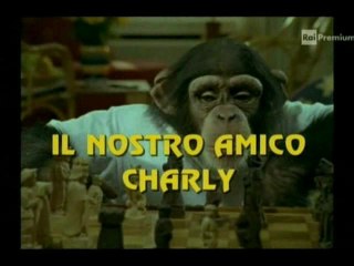 Il nostro amico Charly 2x02 - Il centro di accoglienza