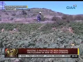 24 Oras: Pagyeyelo ng mga pananim sa Benguet, tinutugunan na raw