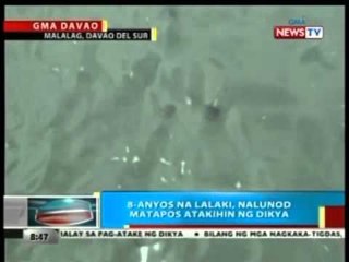 BP: 8-anyos na lalaki, nalunod matapos atakihin ng dikya
