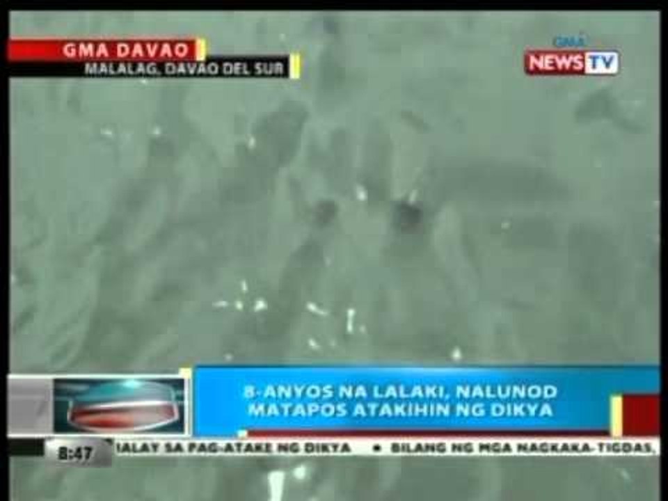 BP: 8-anyos na lalaki, nalunod matapos atakihin ng dikya