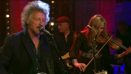 Bap - Die Ballade vom Vollkasko-Desperado 2017