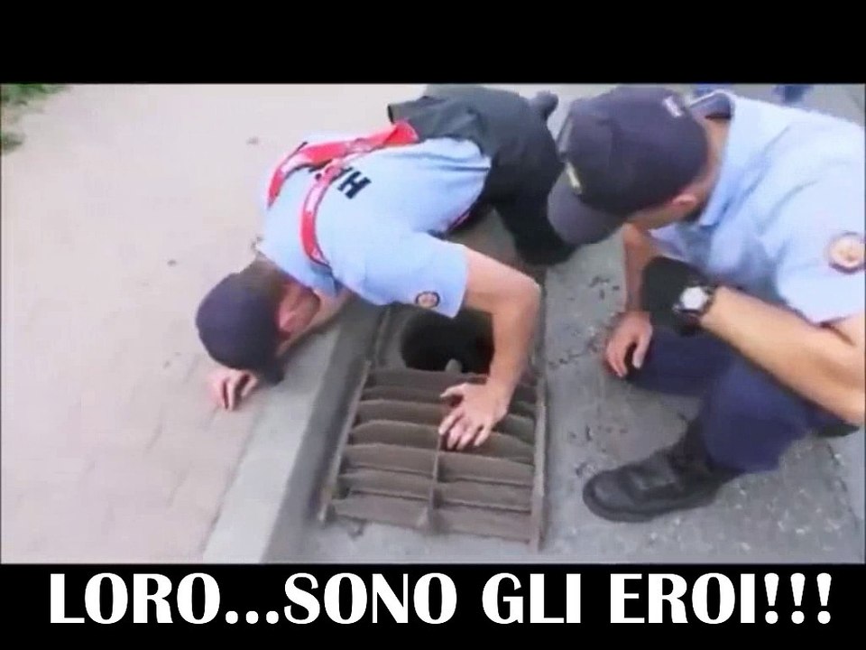 Mamma Oca ha perso i suoi Cuccioli in un Tombino. I Poliziotti, capendo l'accaduto, decidono di aiutarla.