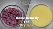 Home Remedy For Dry Lips | How To Get Rid Of Dry Lips Instantly | Home Remedies With Upasana